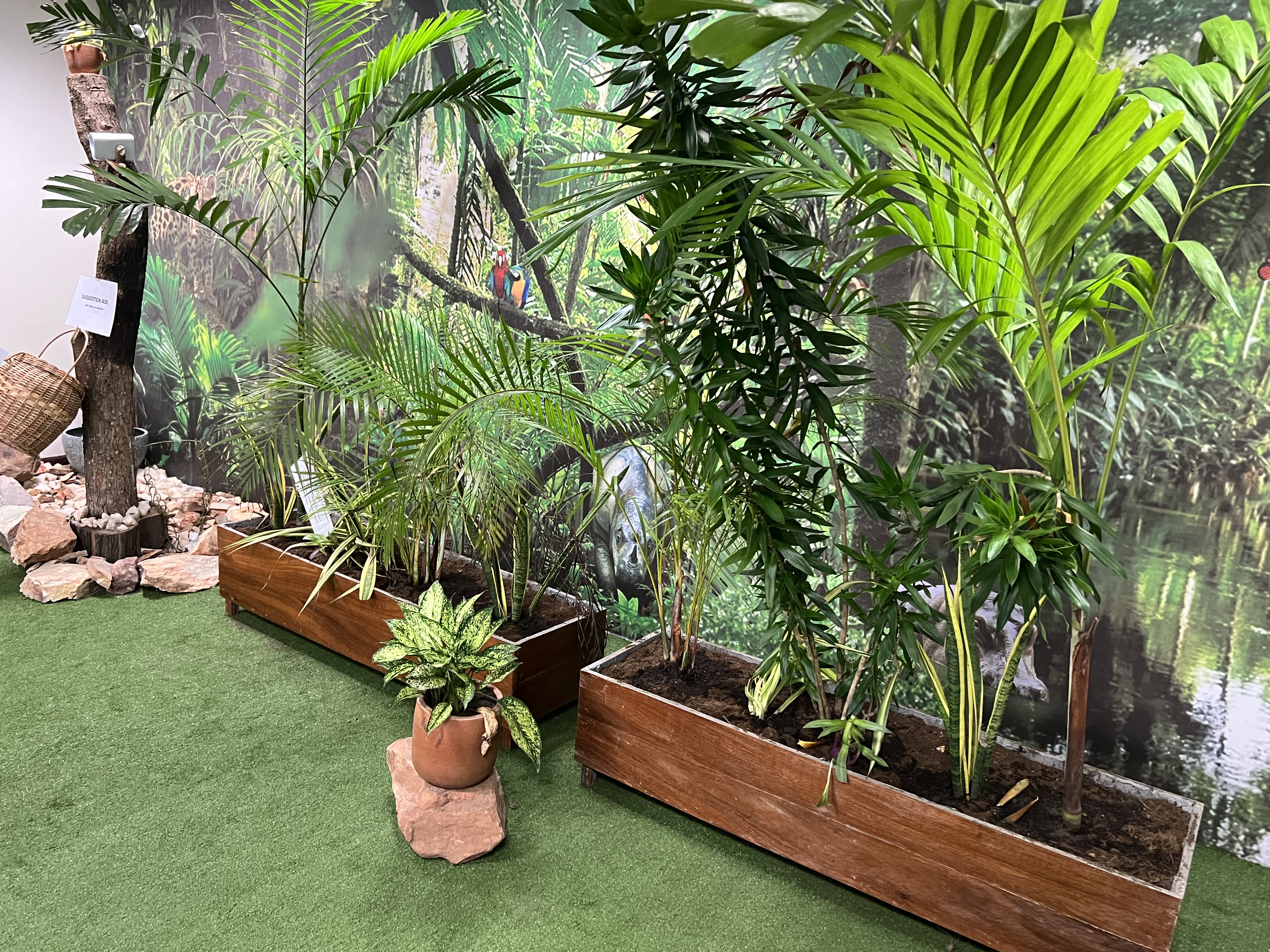 Green Library Interior